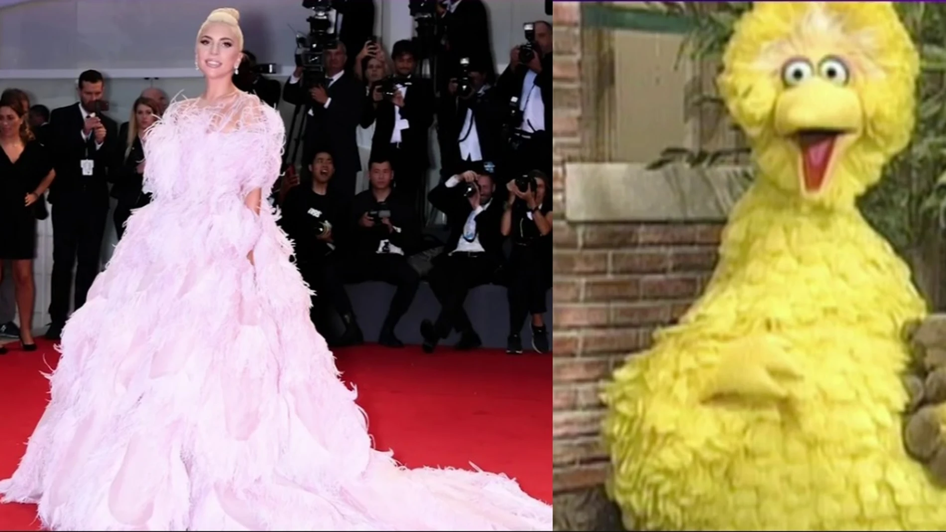 Lady Gaga y su parecido con la gallina Caponata
