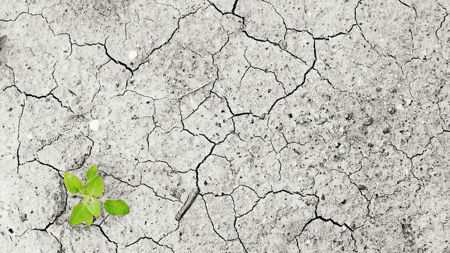 El cambio clim&aacute;tico podr&iacute;a modificar el ecosistema de manera significativa