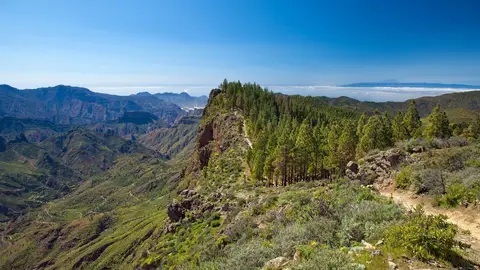 Gran Canaria ¿Por qué debes viajar a Gran Canaria en los próximos meses?