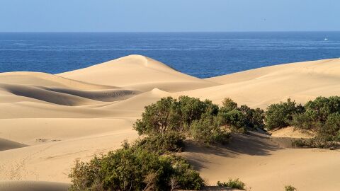¿Por qué debes viajar a Gran Canaria en los próximos meses?