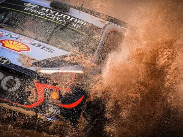 Thierry Neuville Thierry Neuville