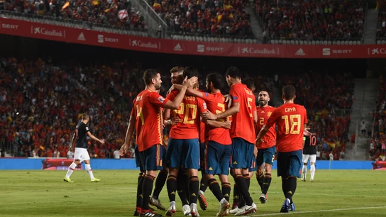 La selección española celebra un gol La selección española celebra un gol