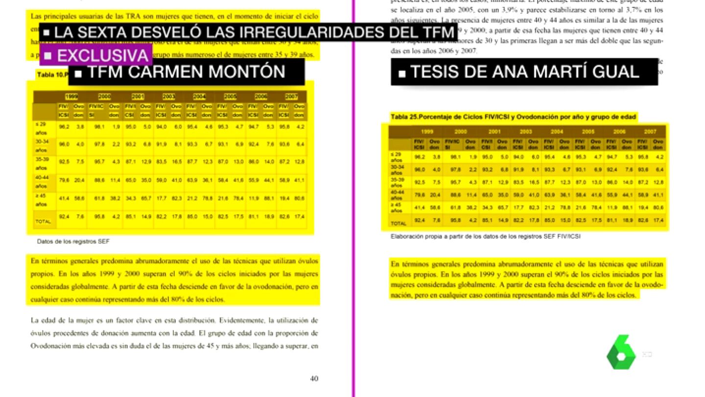 TFM de Mont&oacute;n