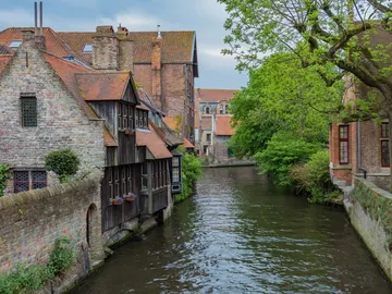 Brujas Brujas