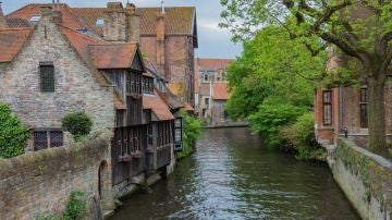 Brujas