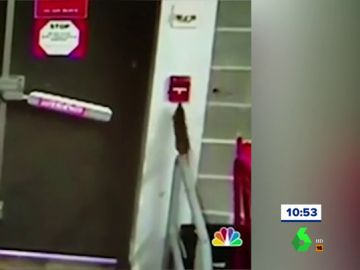 El vídeo viral de una rata que provoca la evacuación de un edificio en EEUU activando la alarma de incendios