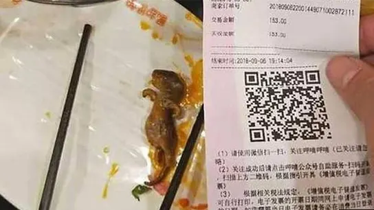 Imagen de la rata muerta encontrada en una sopa en un restaurante chino Imagen de la rata muerta encontrada en una sopa en un restaurante chino