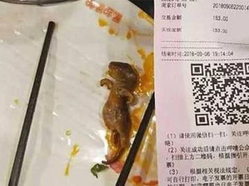 Imagen de la rata muerta encontrada en una sopa en un restaurante chino Imagen de la rata muerta encontrada en una sopa en un restaurante chino