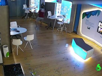 Aluniceros en un robo Aluniceros en un robo
