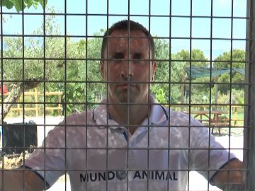 Alfredo Díaz Alfredo Díaz