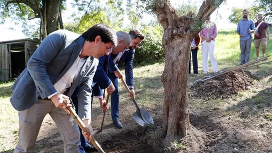 José Miguel Cedillo planta un olivo acompañado de Julen Mendoza José Miguel Cedillo planta un olivo acompañado de Julen Mendoza