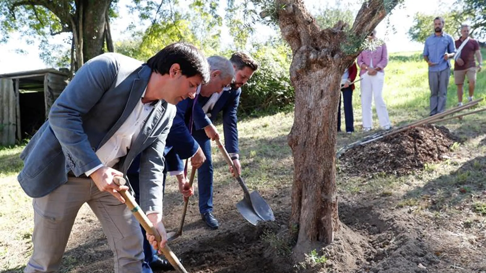José Miguel Cedillo planta un olivo acompañado de Julen Mendoza 