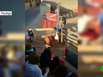 BORRADOR Dos mujeres heridas al ser arrolladas por un toro que se ha salido del encierro en Cuenca BORRADOR Dos mujeres heridas al ser arrolladas por un toro que se ha salido del encierro en Cuenca