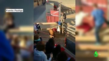BORRADOR Dos mujeres heridas al ser arrolladas por un toro que se ha salido del encierro en Cuenca