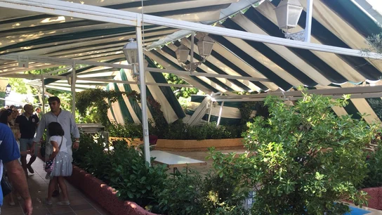 El árbol ha caído cuando algunos clientes comían en la terraza del restaurante El árbol ha caído cuando algunos clientes comían en la terraza del restaurante