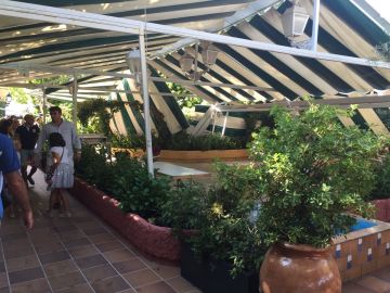 El árbol ha caído cuando algunos clientes comían en la terraza del restaurante El árbol ha caído cuando algunos clientes comían en la terraza del restaurante