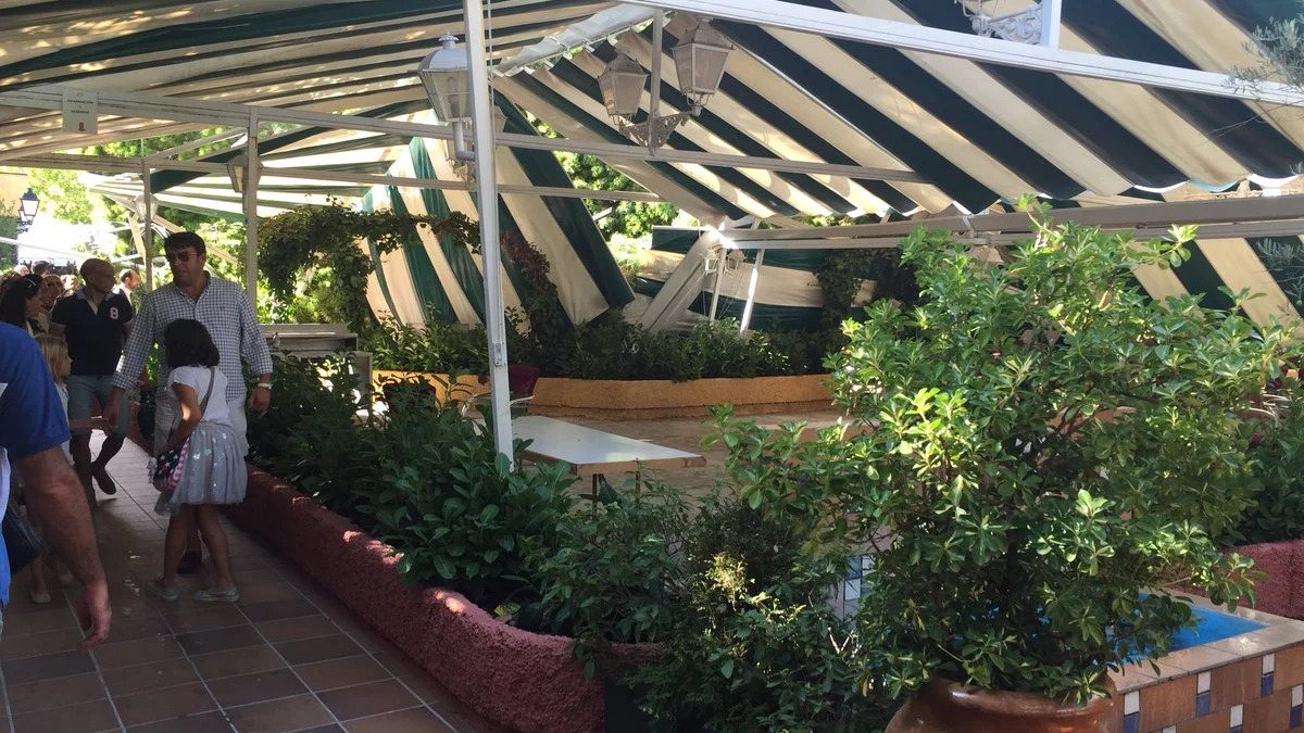 El árbol ha caído cuando algunos clientes comían en la terraza del restaurante