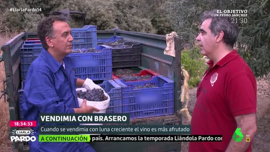 Reportaje de Roberto Brasero sobre la vendimia Reportaje de Roberto Brasero sobre la vendimia