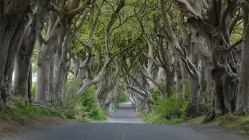 Irlanda del Norte