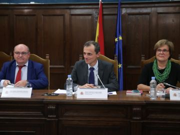 El ministro de Ciencia, Innovación y Universidades, Pedro Duque presidiendo el Pleno del Consejo de Universidades El ministro de Ciencia, Innovación y Universidades, Pedro Duque presidiendo el Pleno del Consejo de Universidades