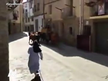 Con vara y capote en mano, así persigue a las vaquillas Sor Elsa, "la monja taurina" :"Si vas por la calle y la ves te sorprenderías" Con vara y capote en mano, así persigue a las vaquillas Sor Elsa, "la monja taurina" :"Si vas por la calle y la ves te sorprenderías"