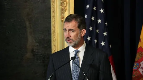 El Rey Felipe VI durante un acto El Rey Felipe VI durante un acto