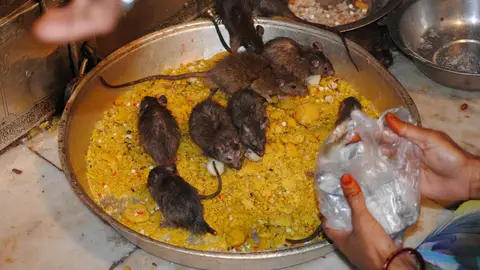 Karni Mata Karni Mata