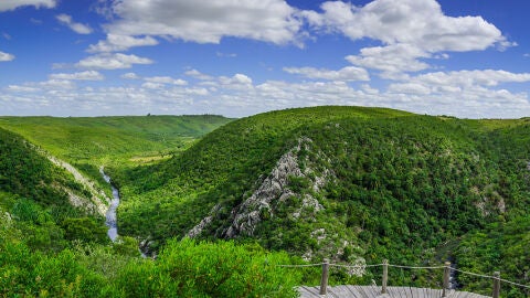 Naturaleza virgen en la Región Este
