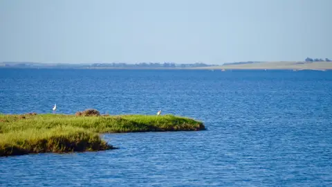 Laguna Garzón Naturaleza virgen en la Región Este
