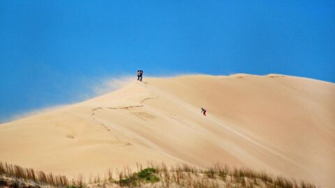 Naturaleza virgen en la Región Este