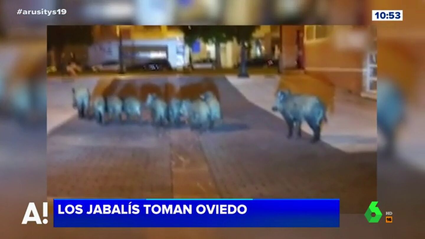 Jabal&iacute;es en las calles de Oviedo