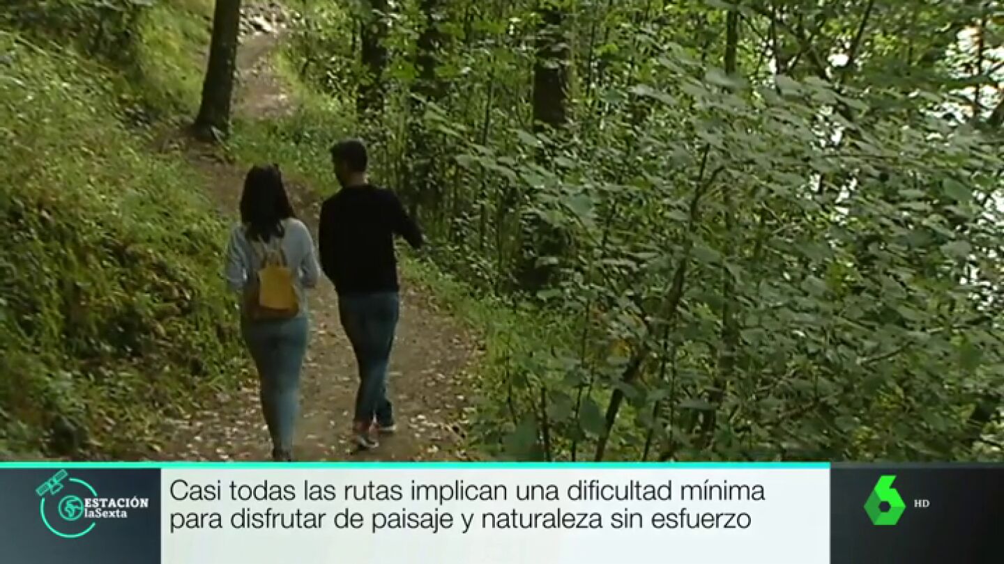 Ba&ntilde;os de bosque
