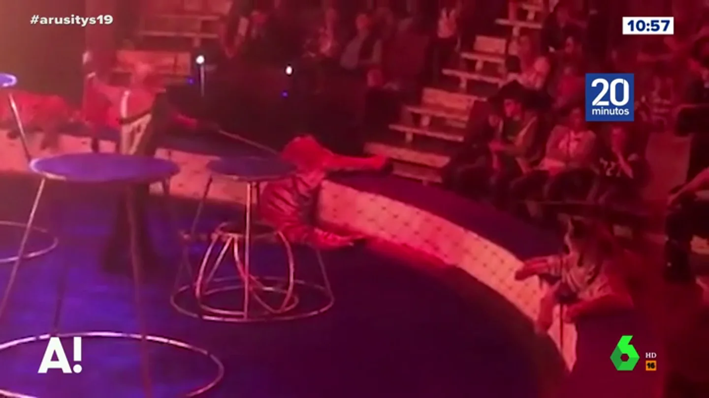 Una tigresa sufre convulsiones en el circo Una tigresa sufre convulsiones en el circo