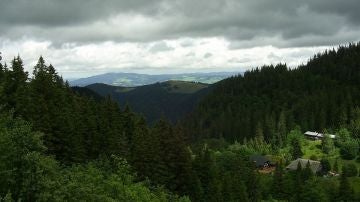 Selva Negra
