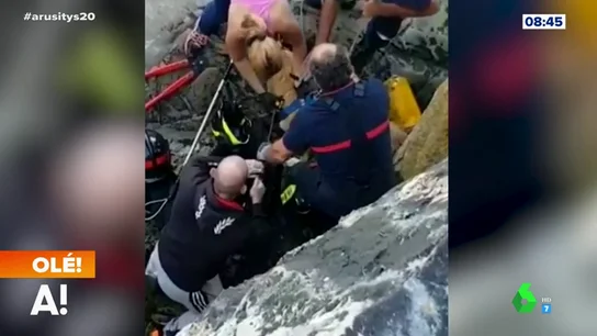 Rescate a un perro tras 13 días atrapado Rescate a un perro tras 13 días atrapado