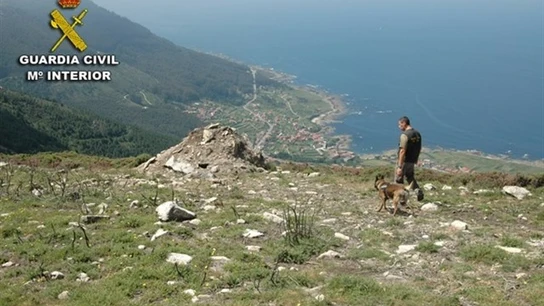 Un guardia civil y un perro de la patrulla canina en el monte Un guardia civil y un perro de la patrulla canina en el monte