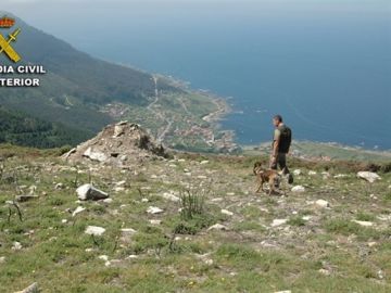Un guardia civil y un perro de la patrulla canina en el monte Un guardia civil y un perro de la patrulla canina en el monte