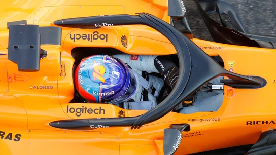 Fernando Alonso, durante el GP de Rusia Fernando Alonso, durante el GP de Rusia