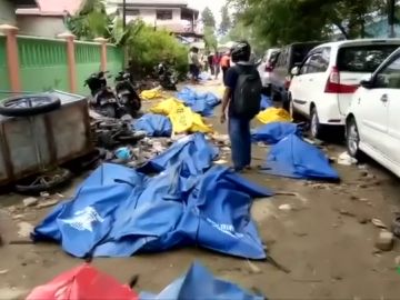 Consecuencias del terremoto de Indonesia que ha dejado más de 400 muertos Consecuencias del terremoto de Indonesia que ha dejado más de 400 muertos