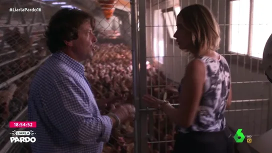 ¿En qué se diferencian los huevos de las gallinas en jaula, en suelo, camperas o ecológicas? ¿En qué se diferencian los huevos de las gallinas en jaula, en suelo, camperas o ecológicas?