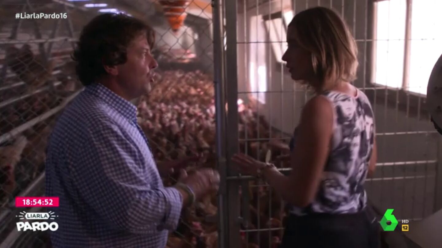 &iquest;En qu&eacute; se diferencian los huevos de las gallinas en jaula, en suelo, camperas o ecol&oacute;gicas?