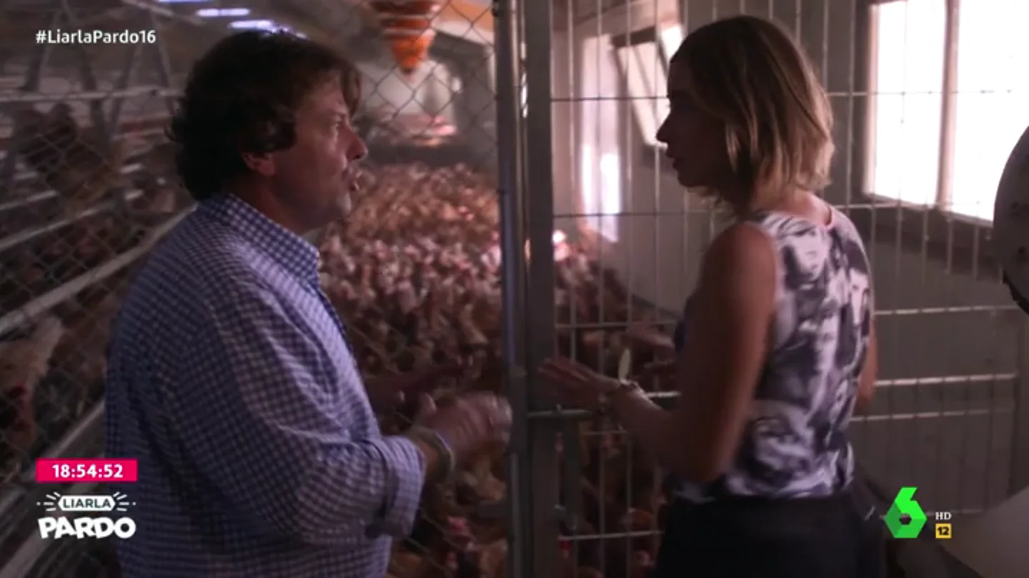 ¿En qué se diferencian los huevos de las gallinas en jaula, en suelo, camperas o ecológicas? ¿En qué se diferencian los huevos de las gallinas en jaula, en suelo, camperas o ecológicas?