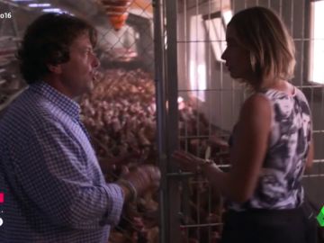 ¿En qué se diferencian los huevos de las gallinas en jaula, en suelo, camperas o ecológicas? ¿En qué se diferencian los huevos de las gallinas en jaula, en suelo, camperas o ecológicas?