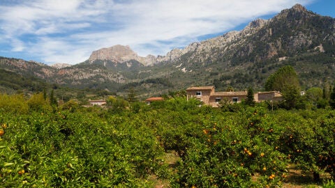 El tren de Sóller 
