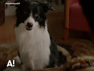 Una gran cadena de hamburgueserías ofrece a sus clientes huesos a la parrilla para perros Una gran cadena de hamburgueserías ofrece a sus clientes huesos a la parrilla para perros