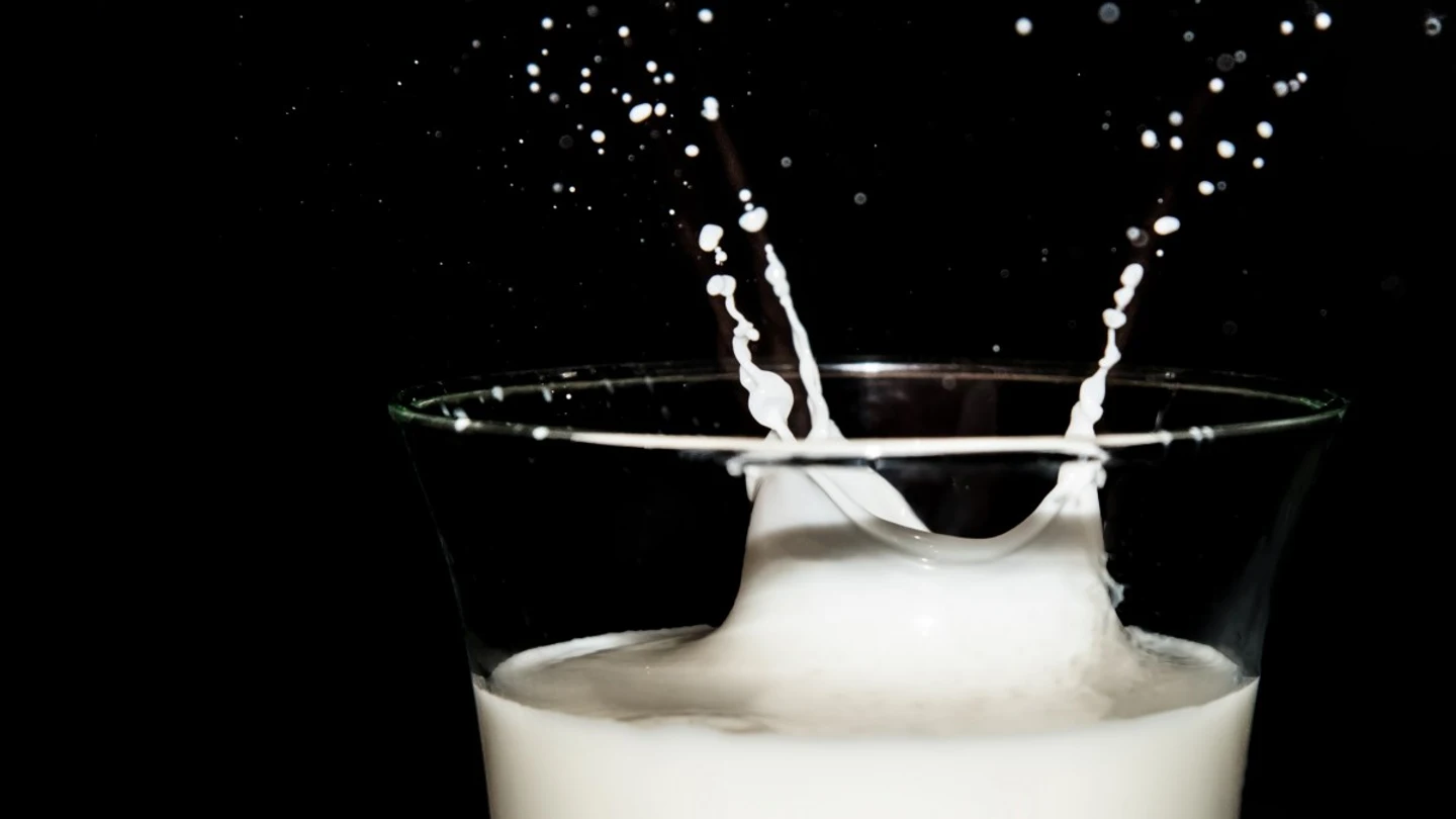Leche Leche
