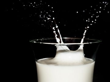 Leche Leche