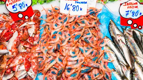 Gamba de Sóller El tren de Sóller