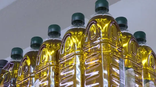Botellas de aceite de oliva Detectan fraude en la producción y venta de aceite de oliva en España