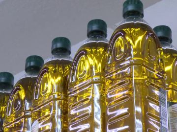 Detectan fraude en la producción y venta de aceite de oliva en España Detectan fraude en la producción y venta de aceite de oliva en España